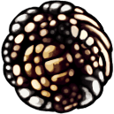 Fragile Greed / Unbreakable Greed